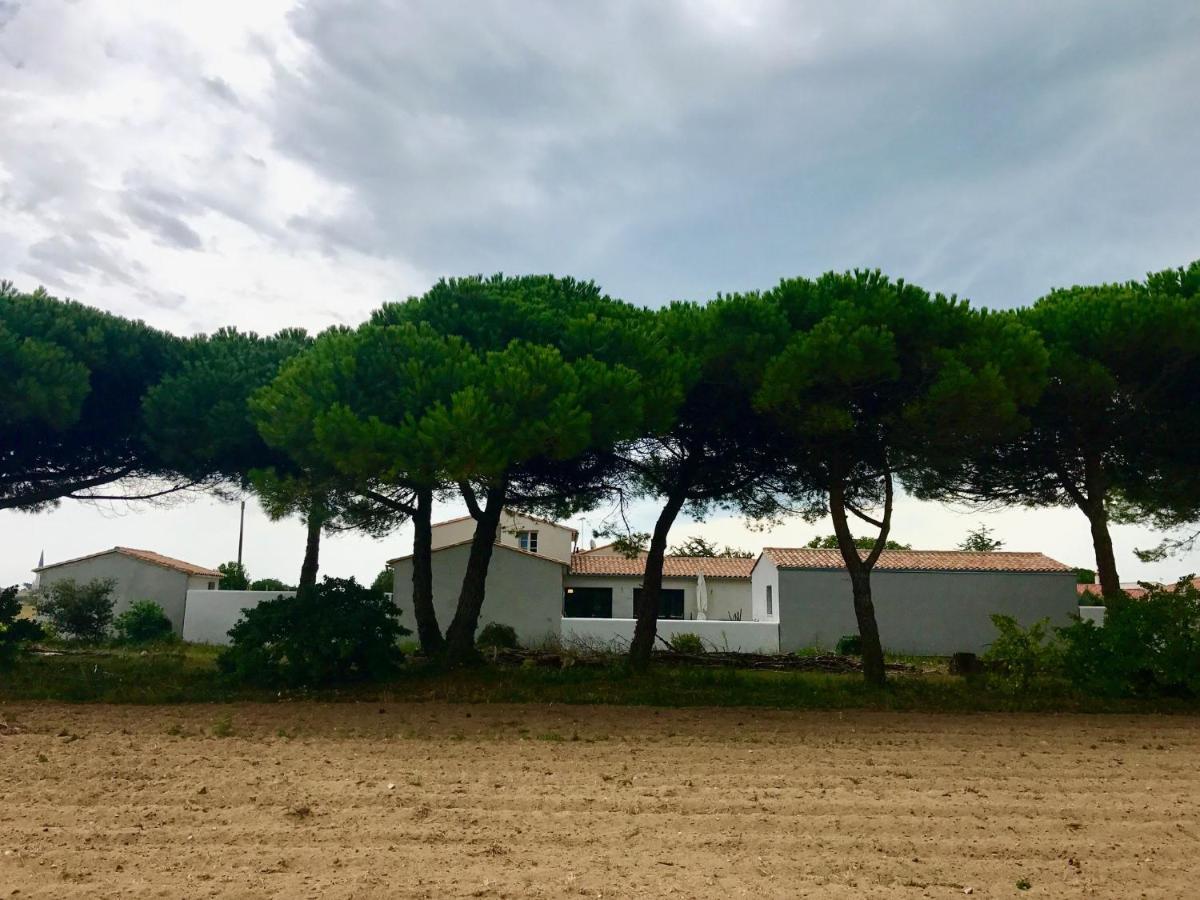 Fleur De Pin Ars En Re Bed & Breakfast Ars-en-Re Exterior photo